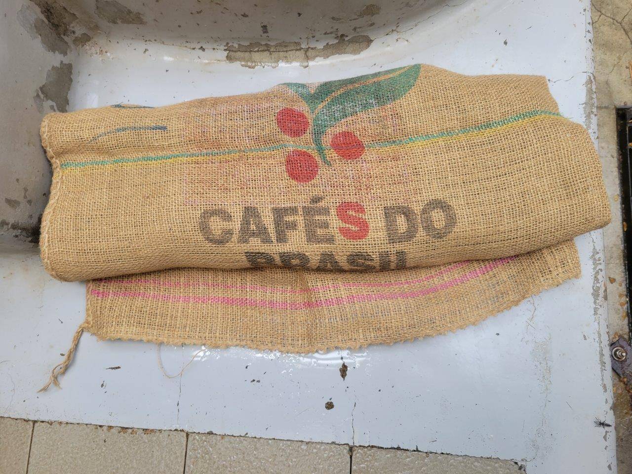 餌を入れたドングロスは、口が分からないように折りたたんで与えました