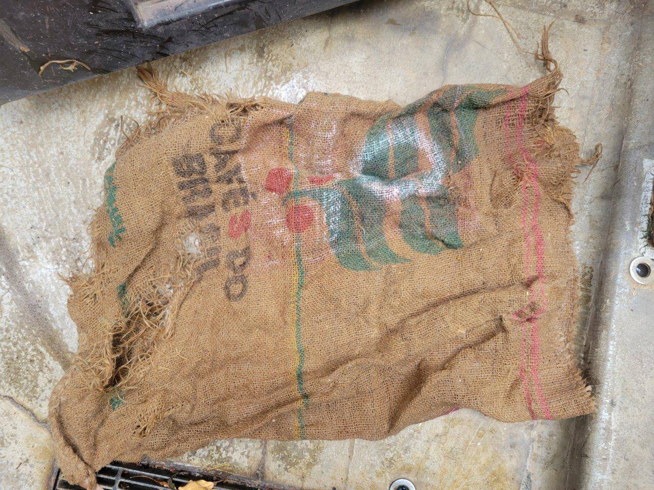 半日でボロボロにされてしまったドングロス