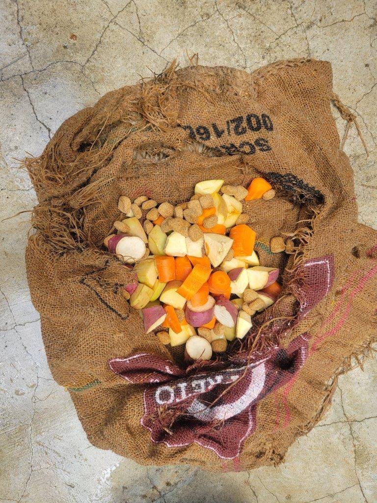 大きく開いた穴から餌を入れた状態のドングロス