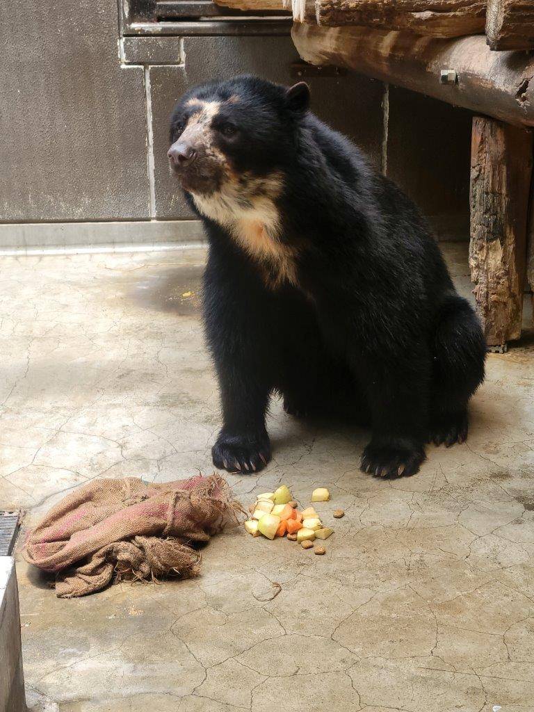 ドングロスから餌が沢山こぼれ落ちています