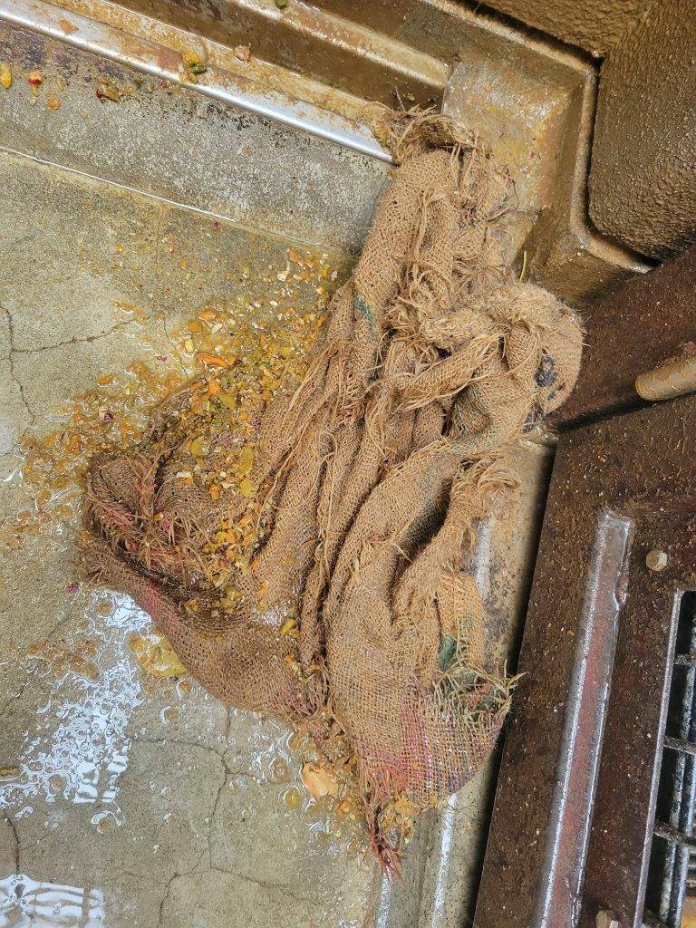 ボロボロになったドングロス