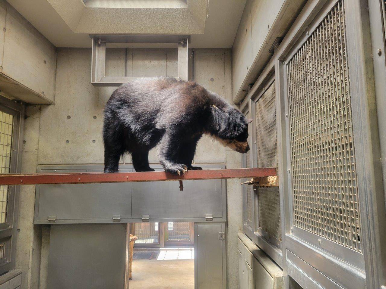 寝台上から隣室を気にする美雨