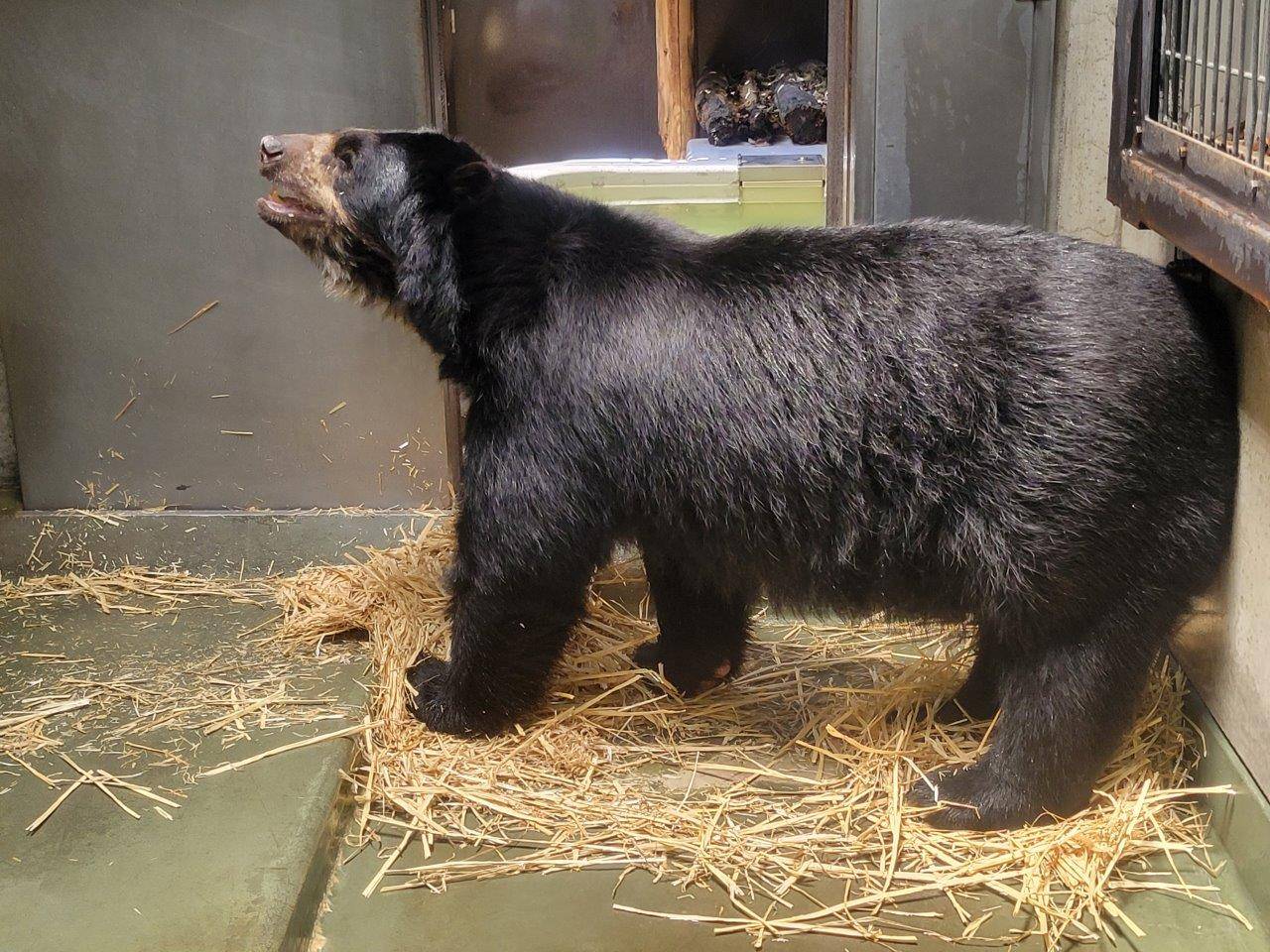 覗いている美雨を気にするルイス