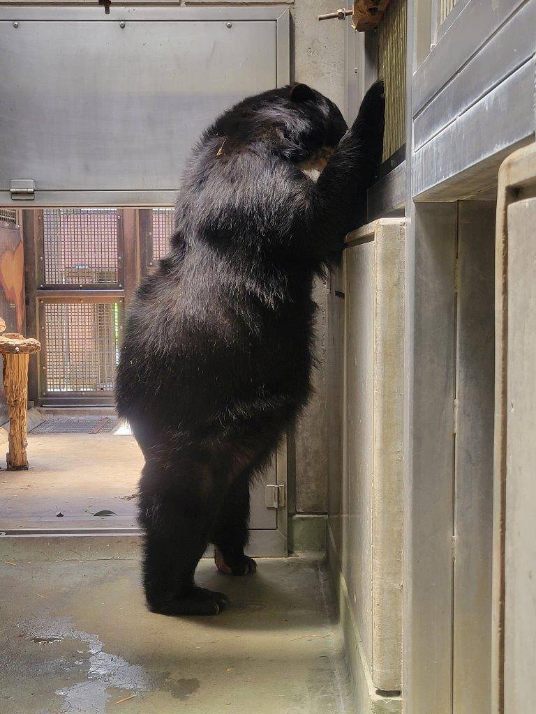 立ち上がって隣を覗き込む美雨