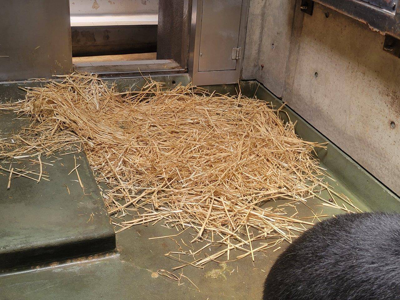 使用痕たっぷりの麦藁