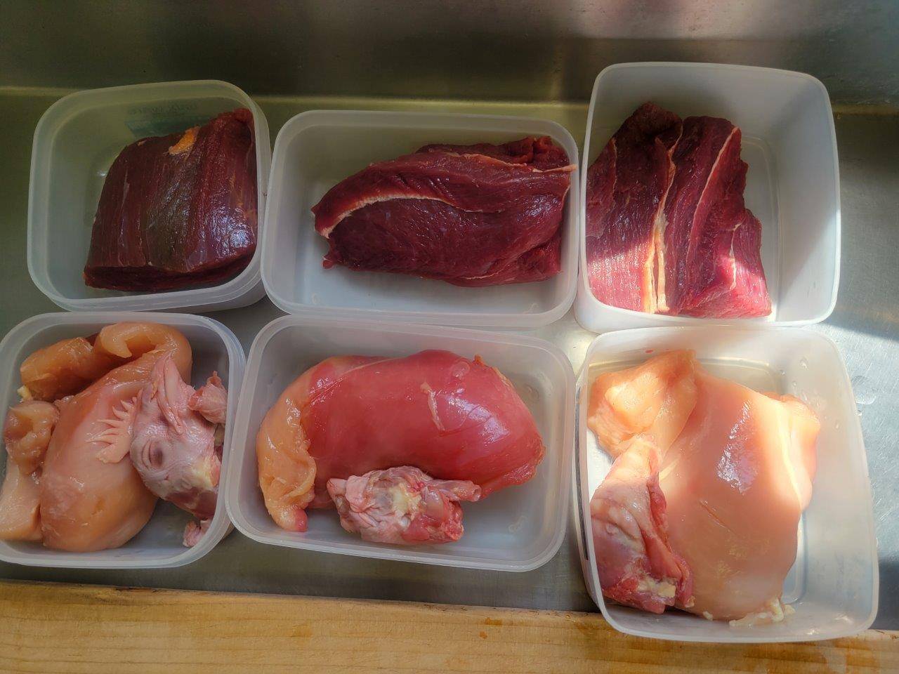 朝夕、各1回。3頭分のヤブイヌの餌。