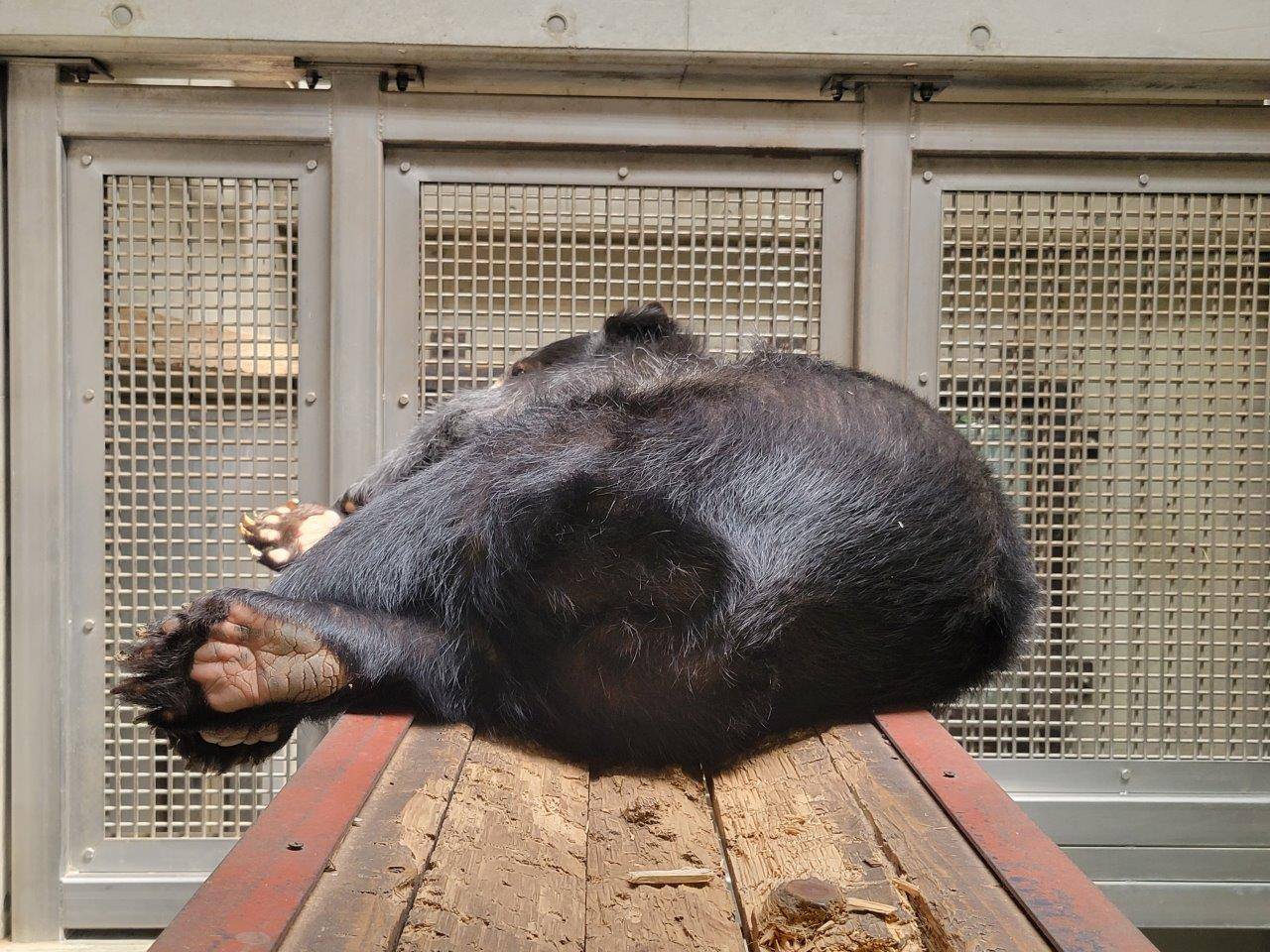 美雨の足の裏①