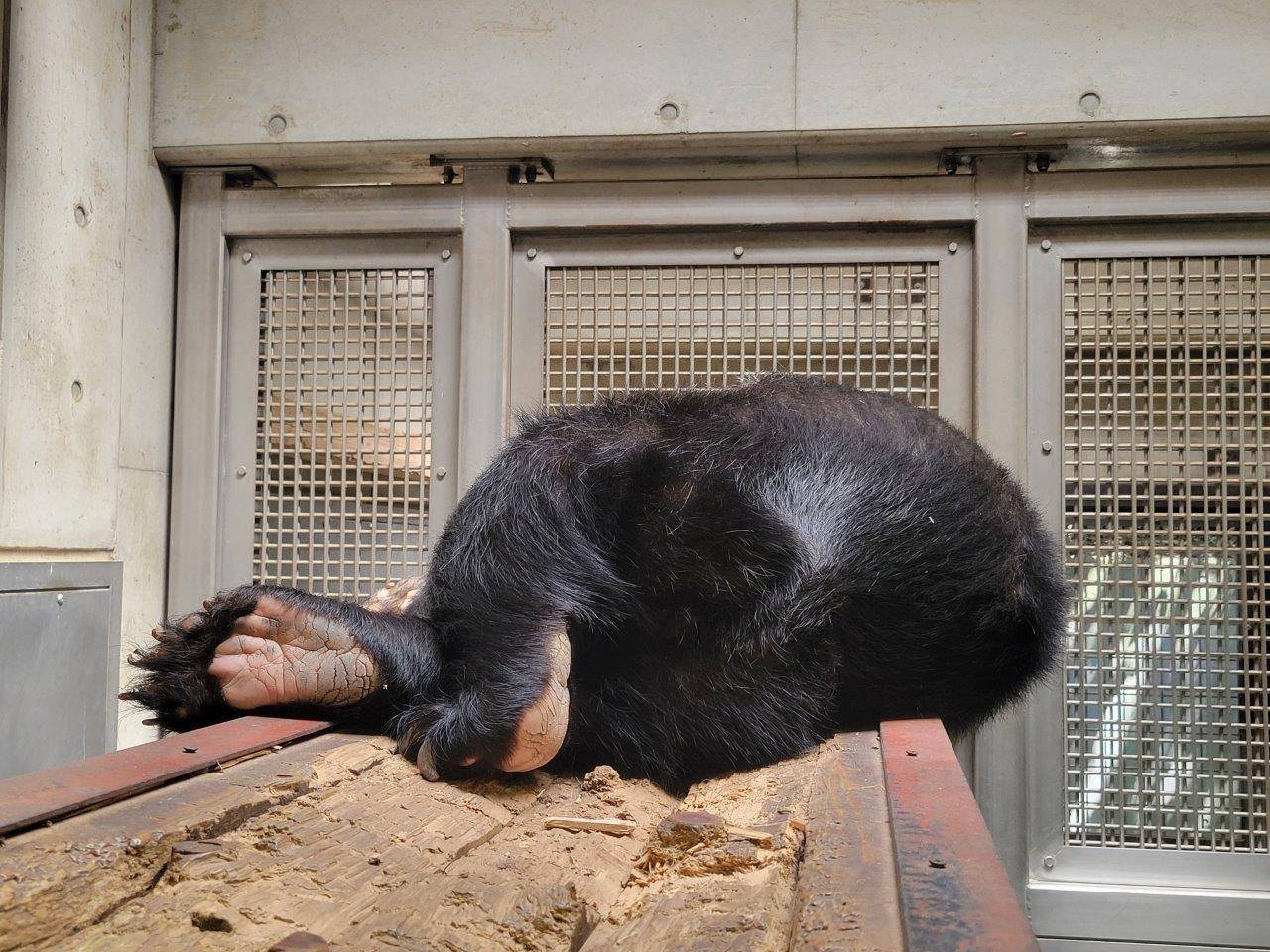 美雨の足の裏②