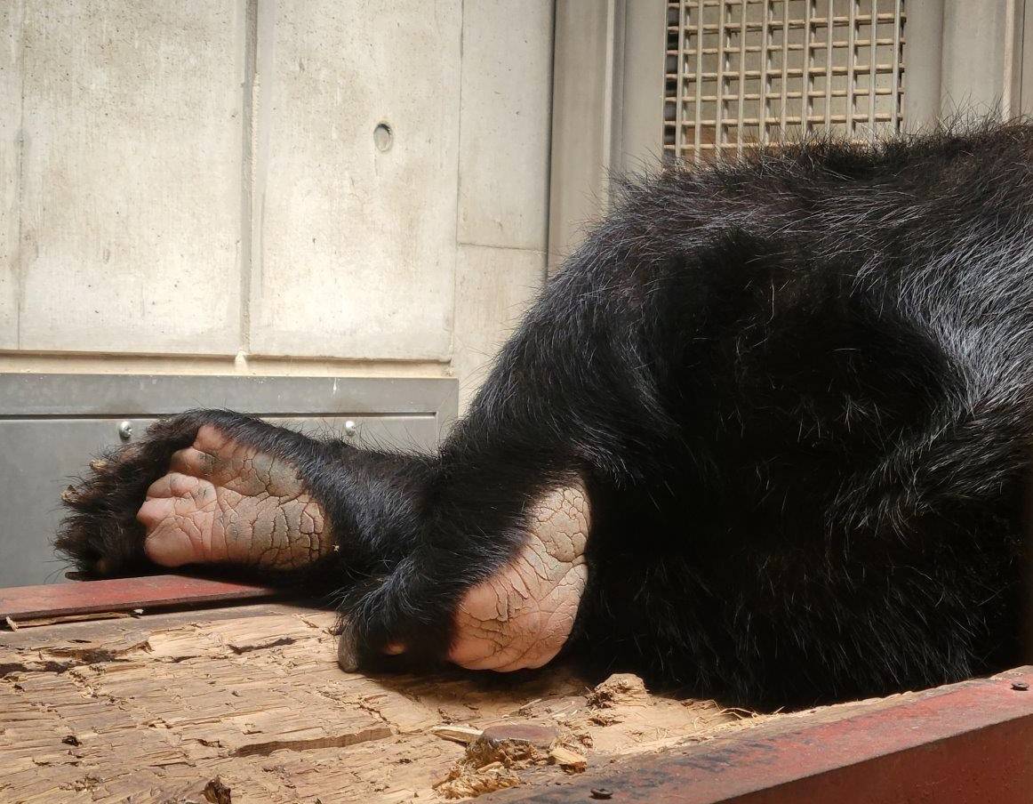 美雨の足の裏③