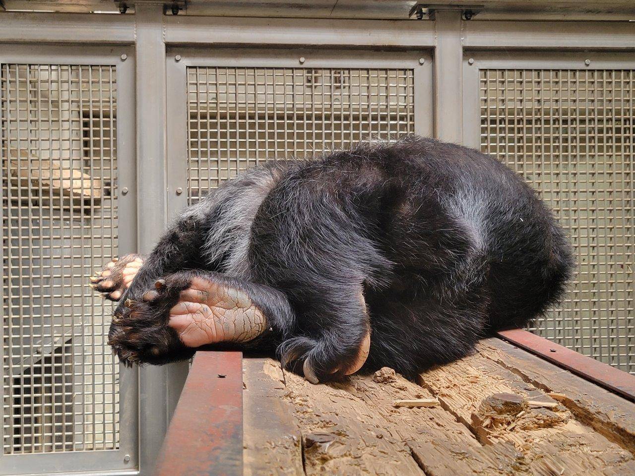 美雨の足の裏④