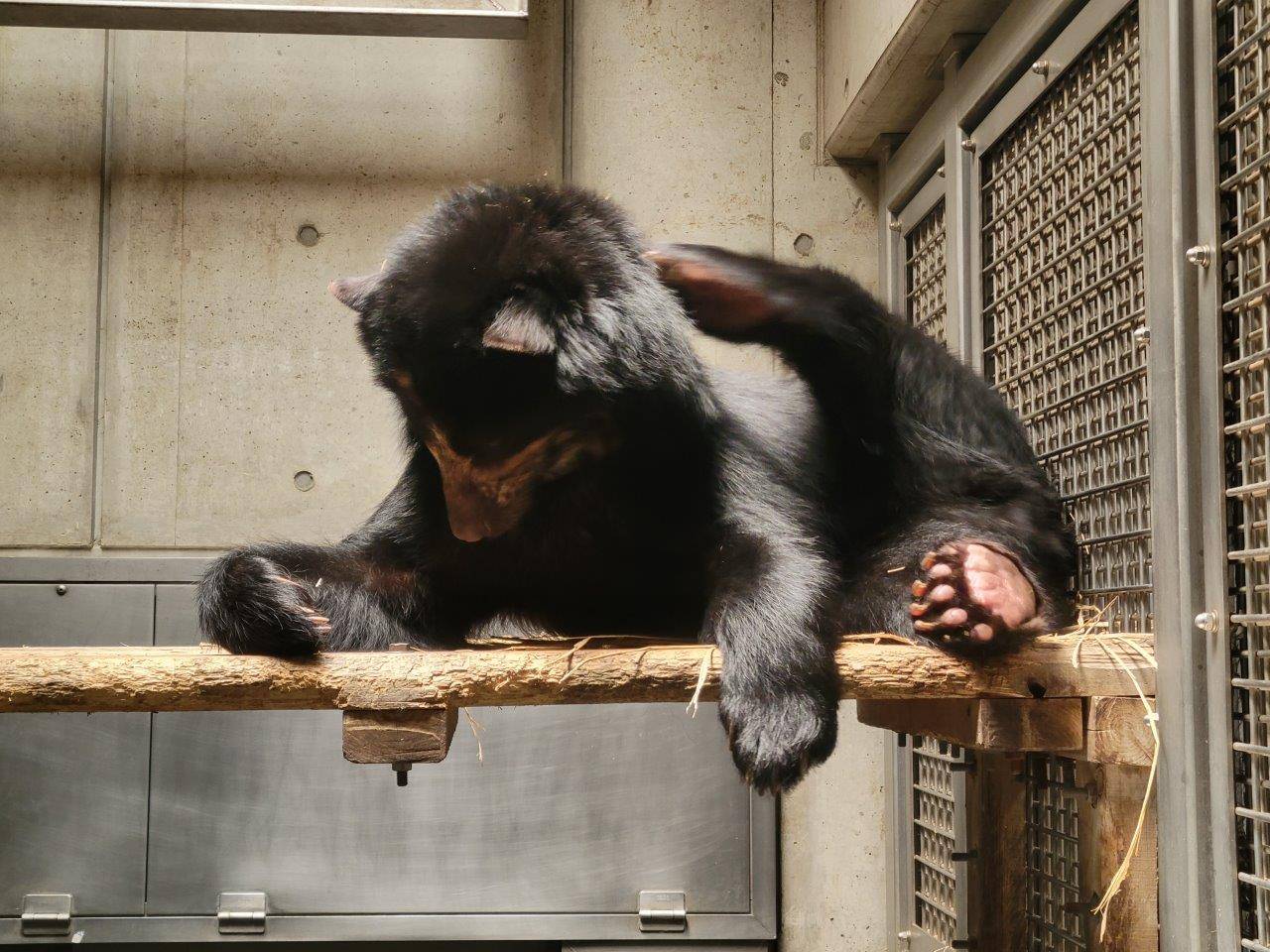 寝台上の美雪①