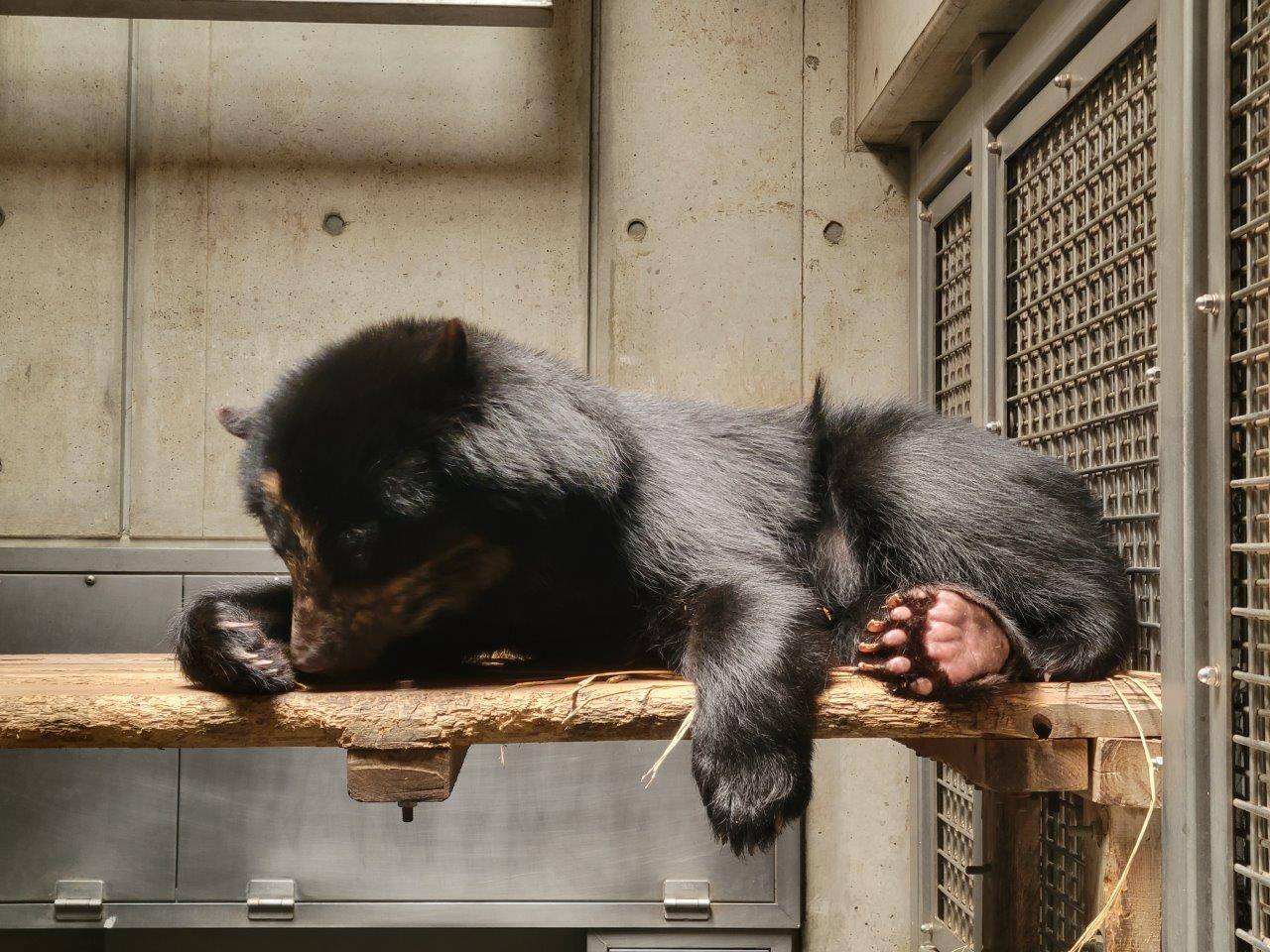 寝台上の美雪②