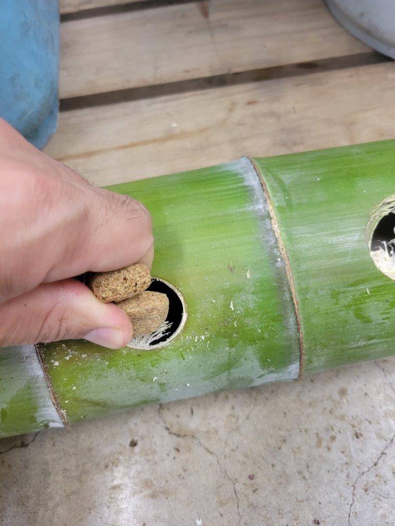 竹筒に開けた穴から、ペレットを入れ込みます