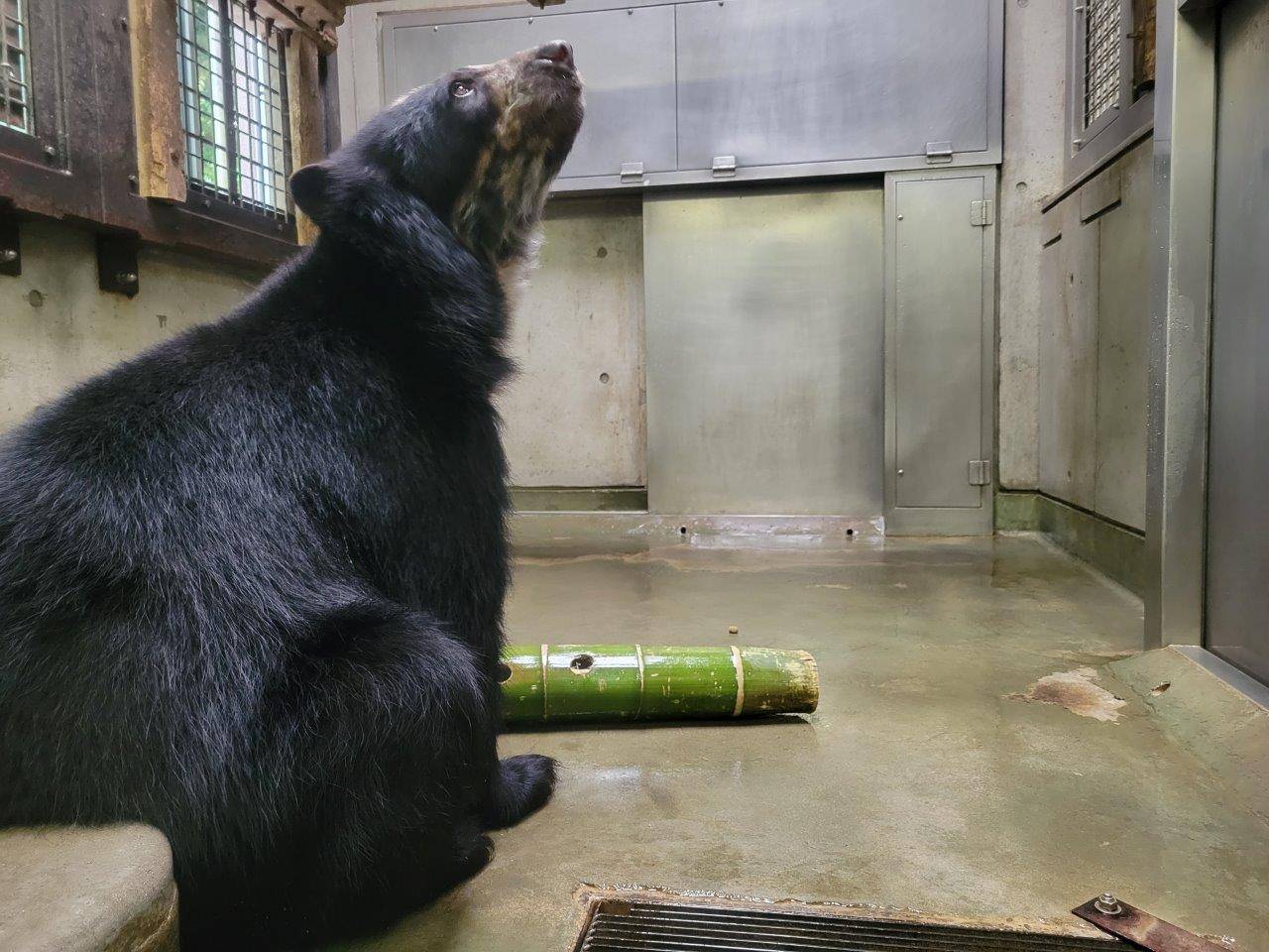 竹筒を前にして考え込む美雪