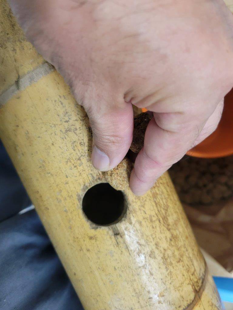 竹筒フィーダーにペレットを入れる様子