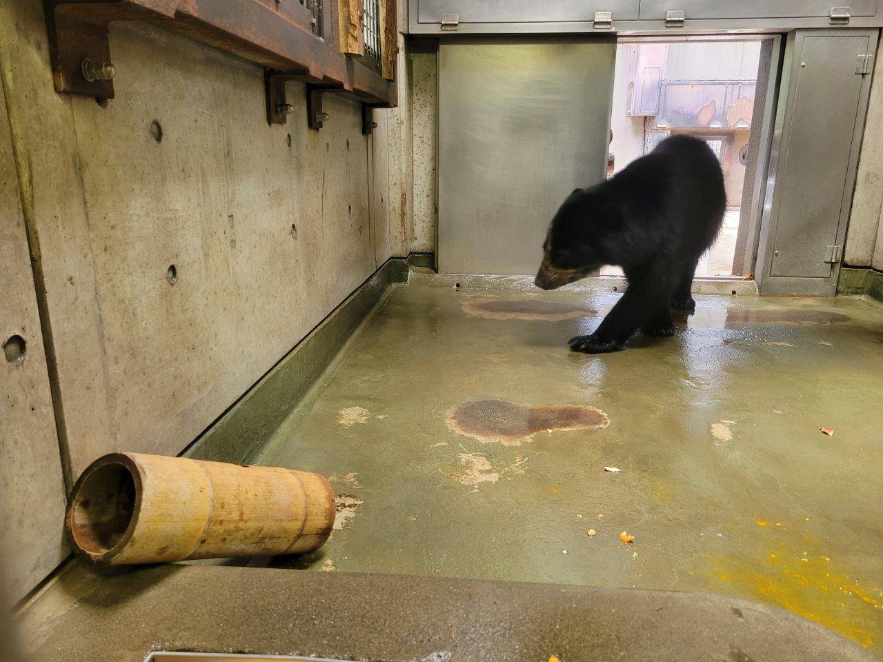 サブ運動場から寝室に入って来た美雪