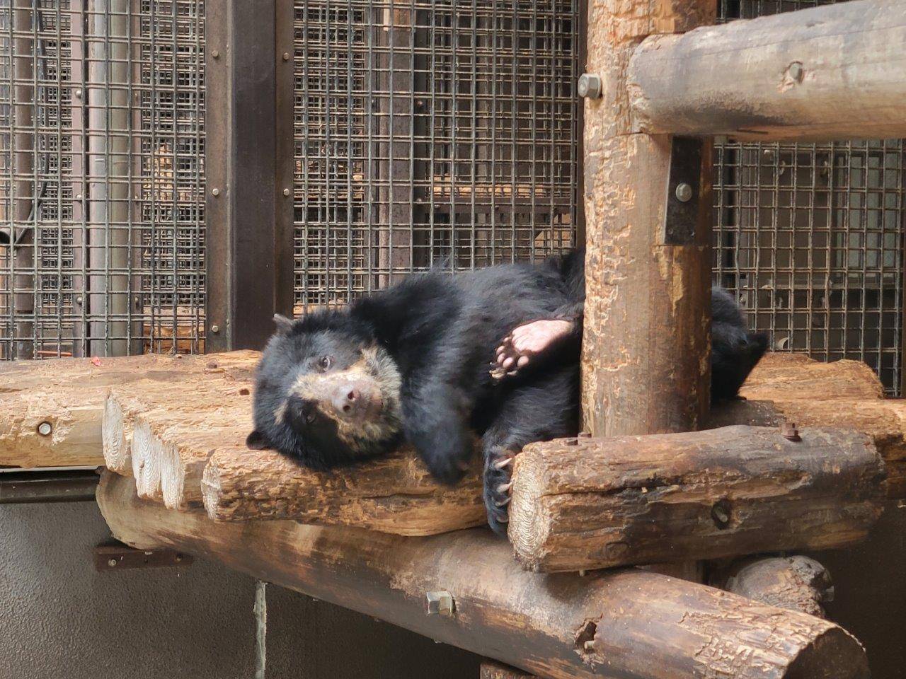 サブ運動場の寝台上で寝転ぶ美雪