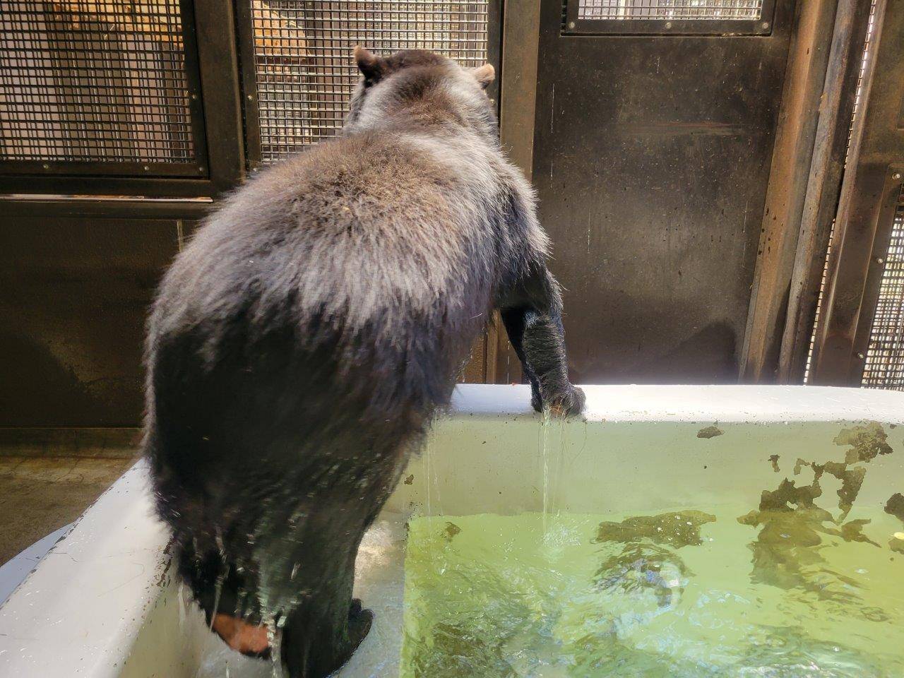 プールから出た美雨