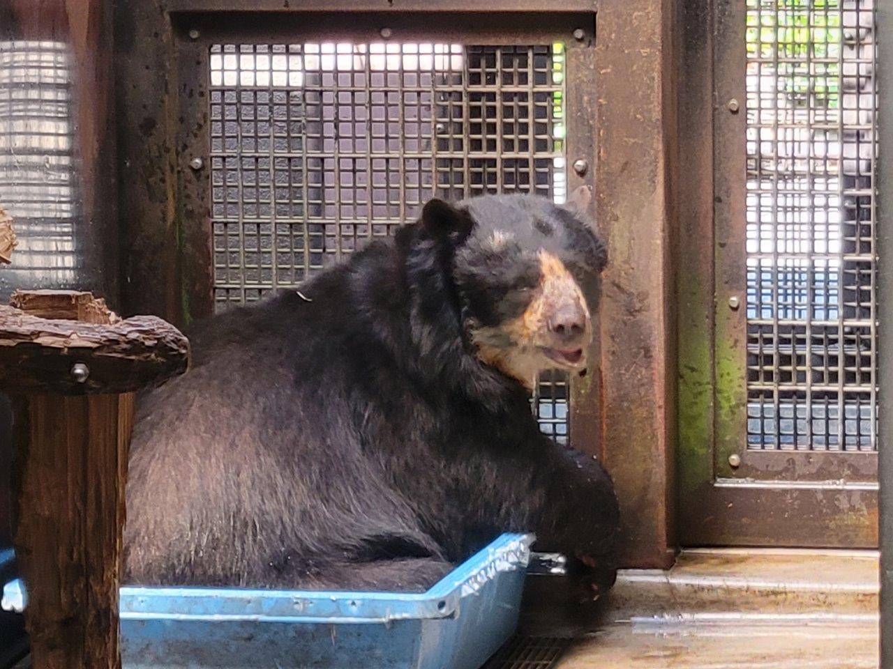 簡易プールに浸かる美雨①