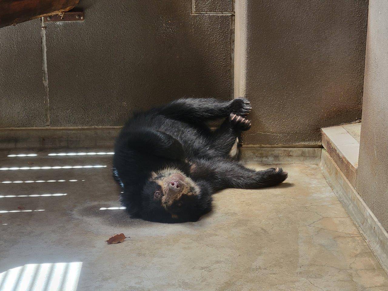 サブ運動場の床上で寝転ぶ美雪