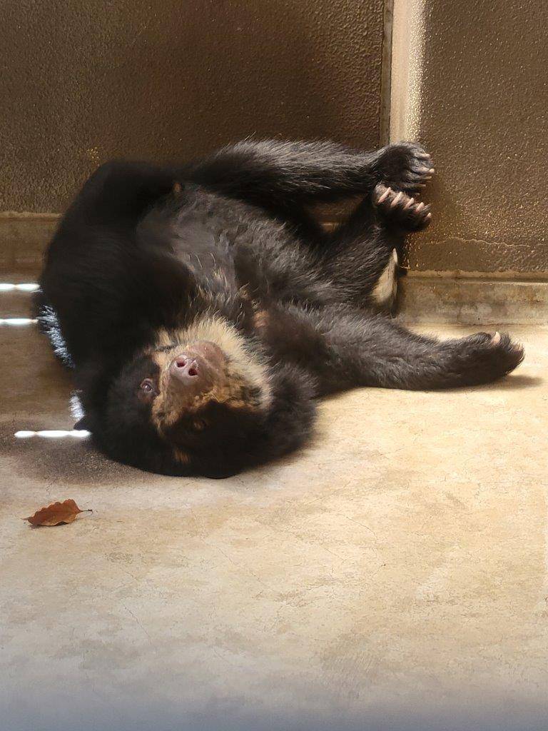 サブ運動場の床上で寝転ぶ美雪②