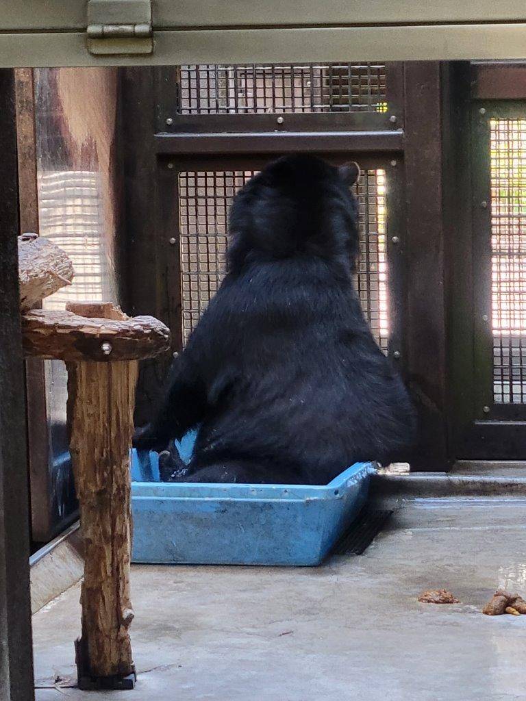 簡易プールに浸かる美雨②