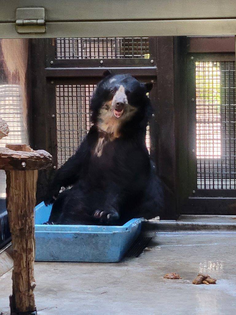 簡易プールに浸かる美雨③