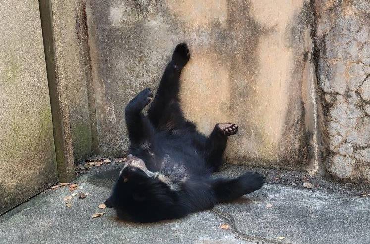 展示場の隅っこの日陰で休む美雪②