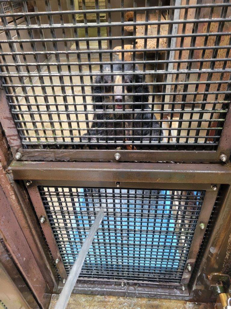 簡易プールに給水中、水浴する美雨