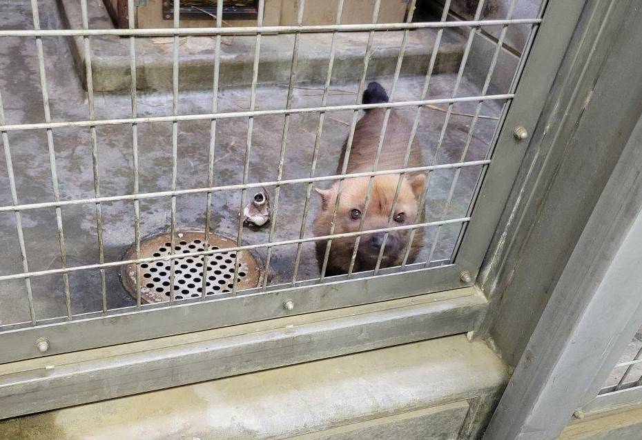 寝室からこちらを見つめるスマイラー