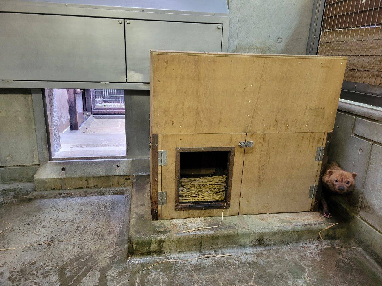 扉を開けてサブ運動場に出られるようにした状態