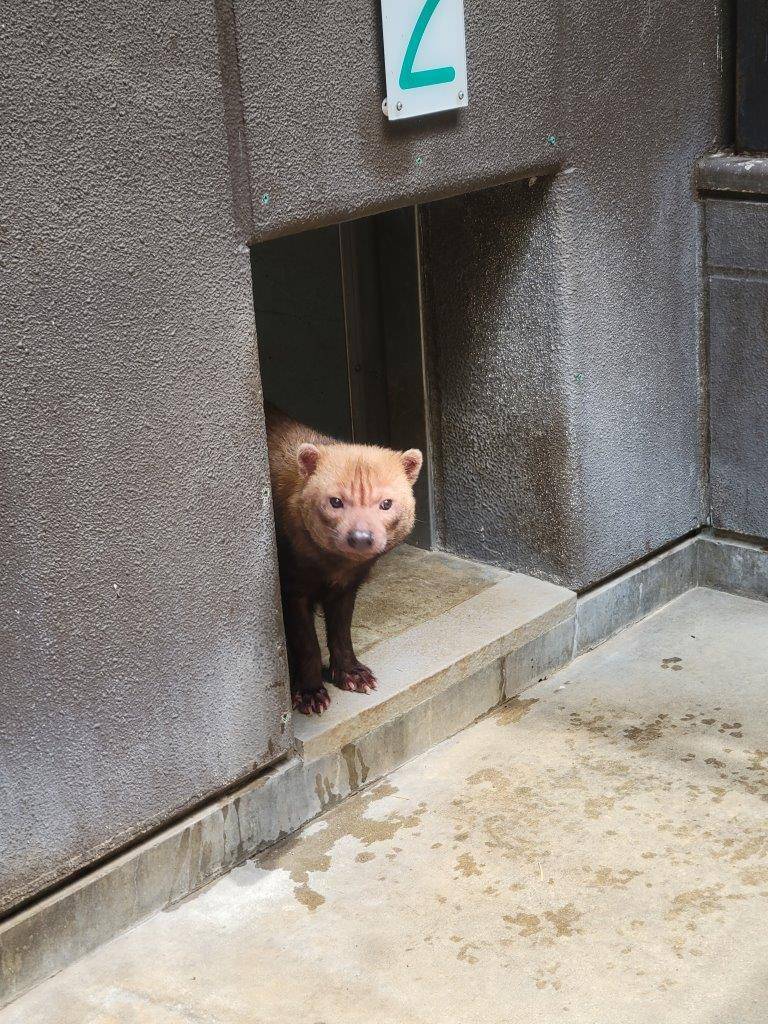 寝室からサブ運動場に出て来たカノン②