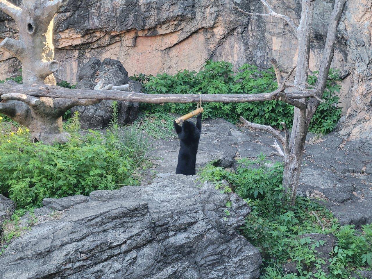 竹筒フィーダーをいじっている美雪①