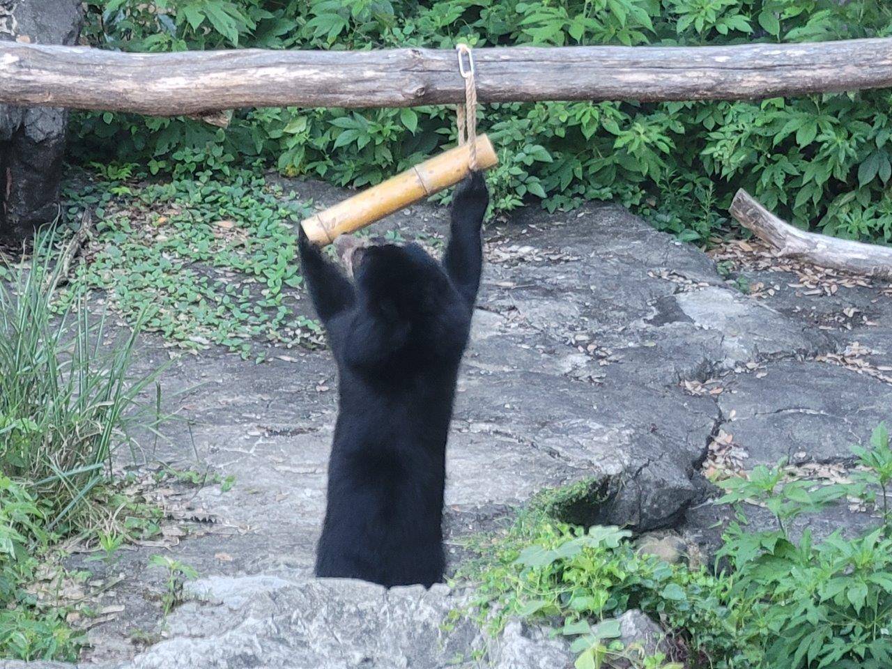 竹筒フィーダーをいじっている美雪②