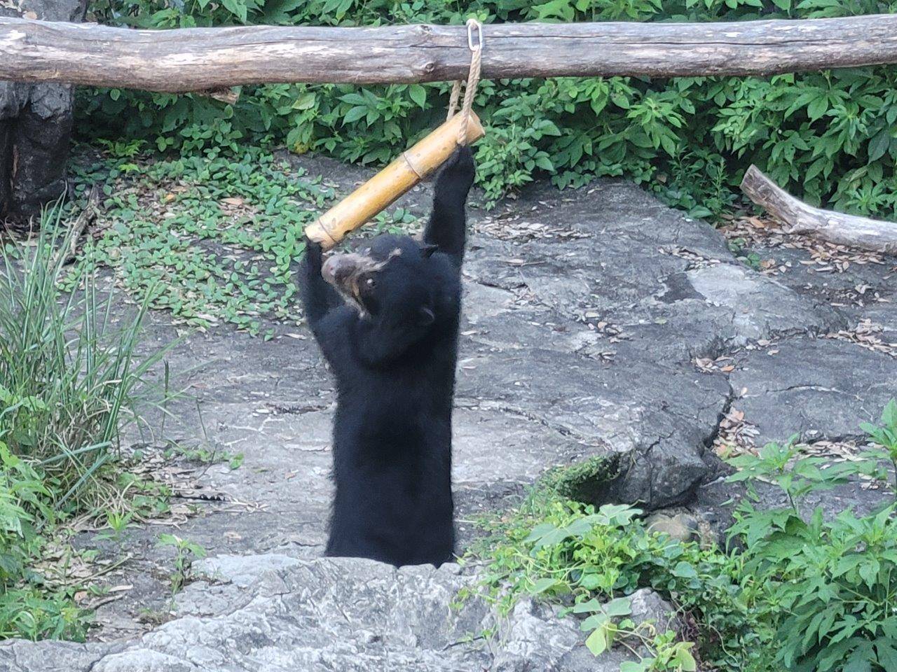 竹筒フィーダーをいじっている美雪③