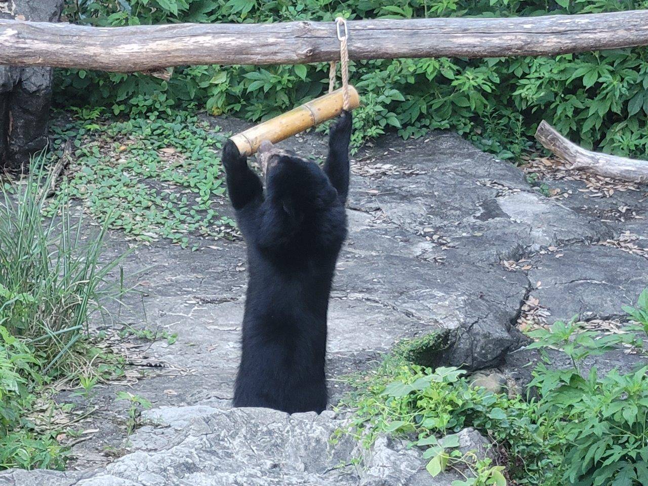 竹筒フィーダーをいじっている美雪④