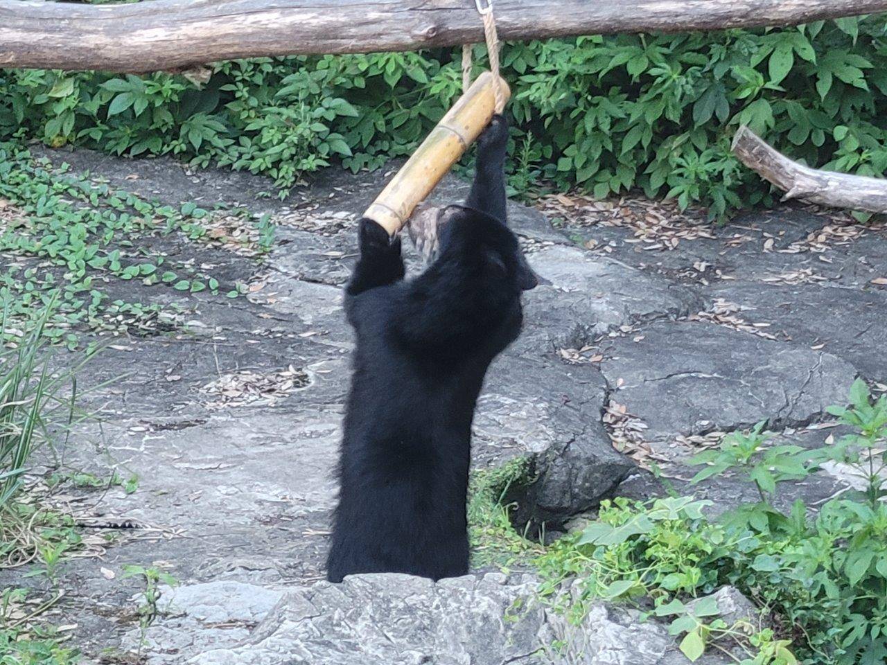 竹筒フィーダーをいじっている美雪⑤
