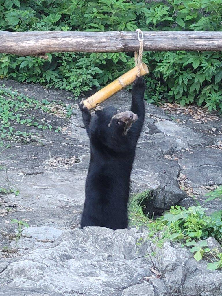 竹筒フィーダーをいじっている美雪⑥