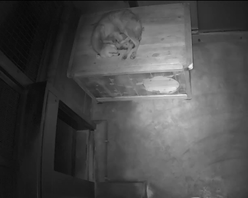 スクリーンショット (38).png