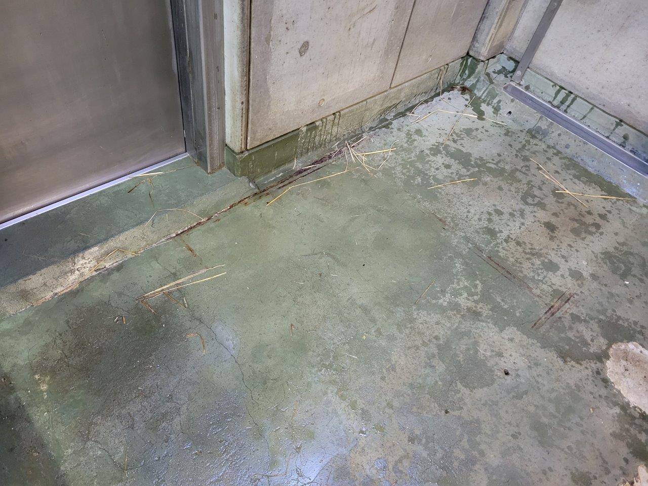 雪雄の寝室に散らかる藁②