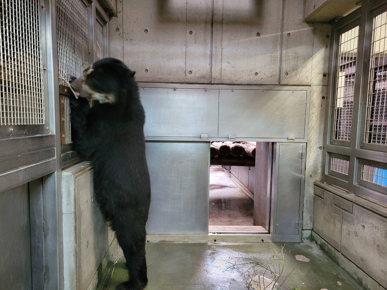 立ち上がって隣の寝室から藁を引き抜く雪雄①