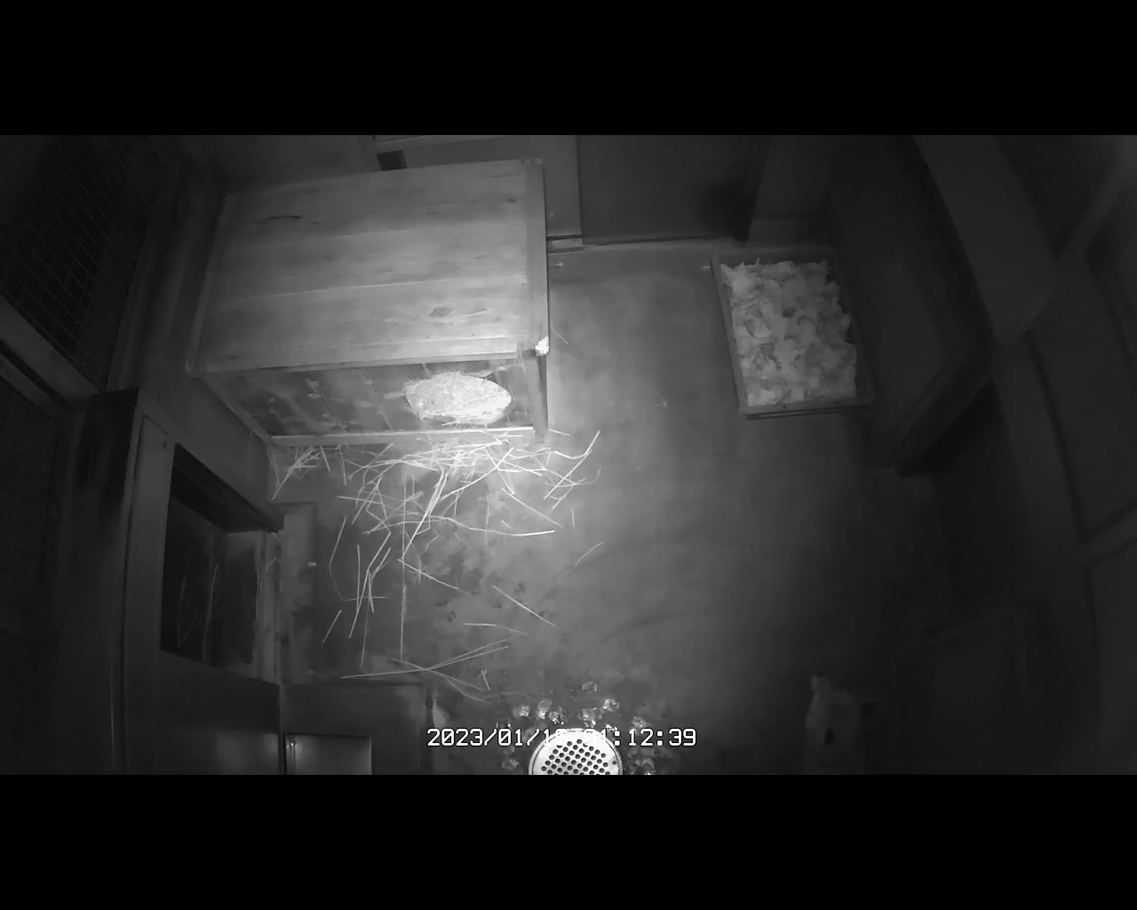 スクリーンショット (56).png