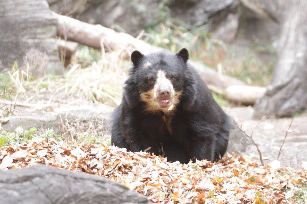 餌を食べる美雨