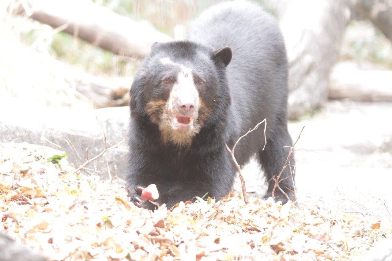 餌を食べる美雪