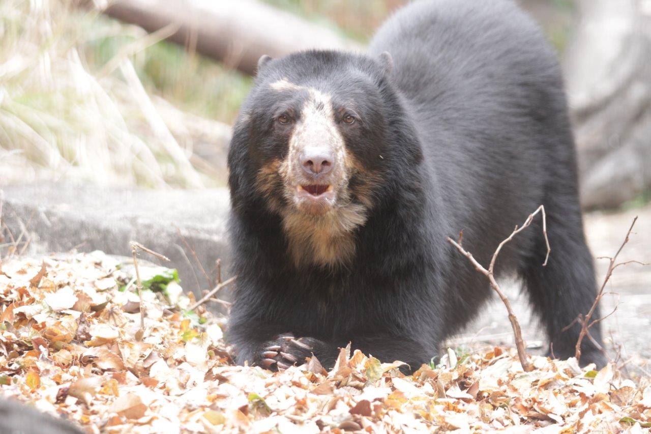 餌を食べる美雪
