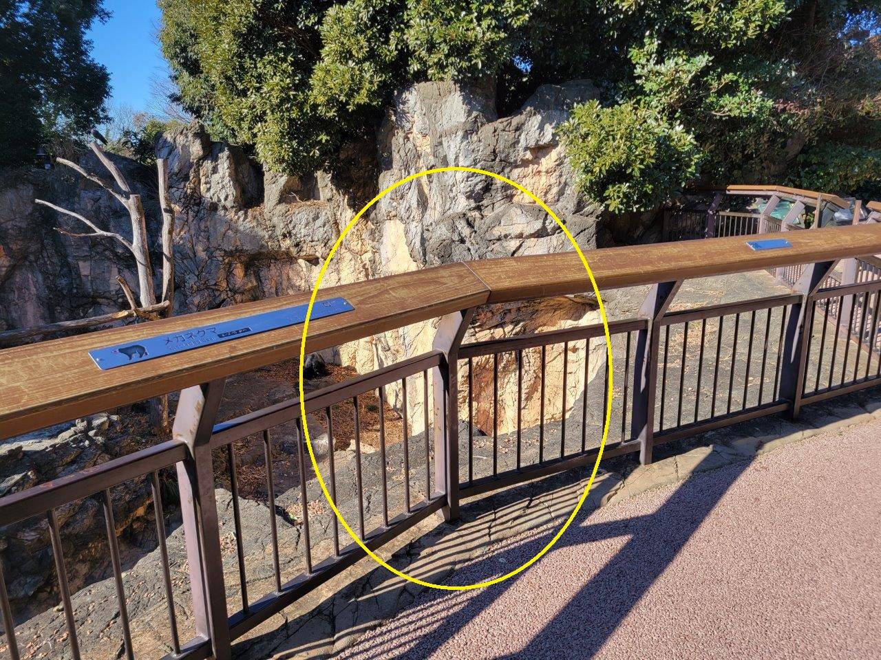 園路からの観察ポイント