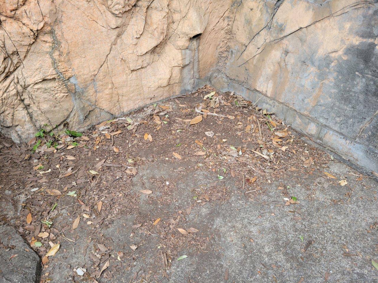 美雨がよく寝ている場所