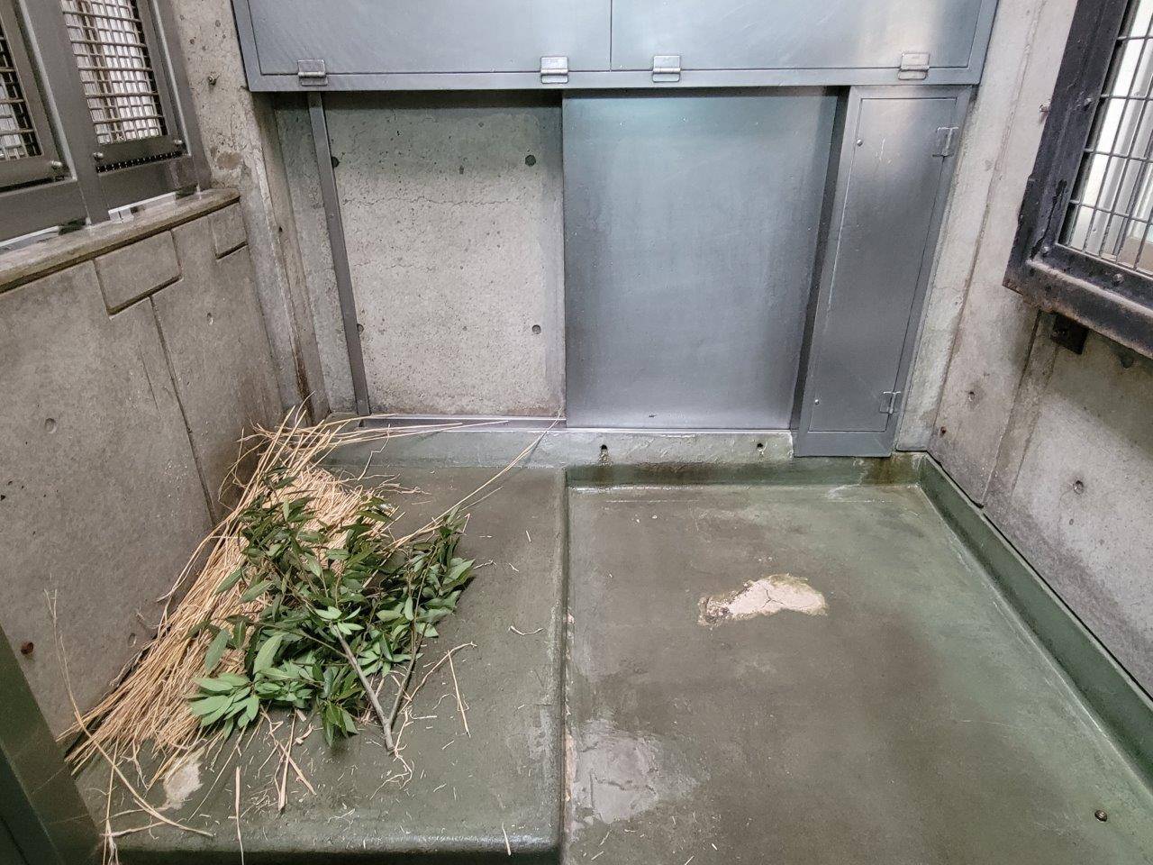 掃除が終わってセットされた藁