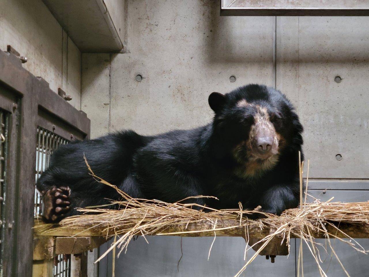 寝台上の藁上で休む美雪⑥