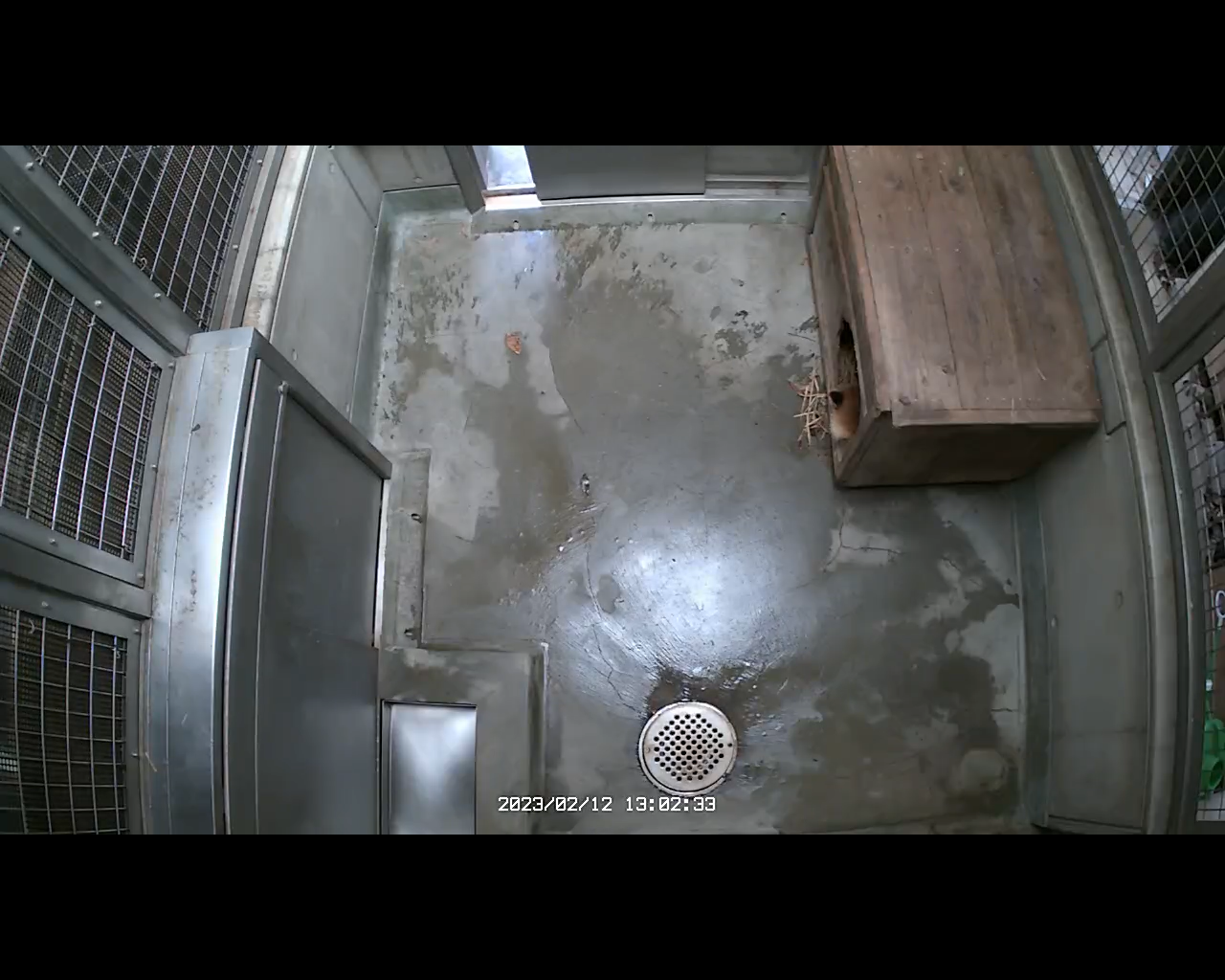 スクリーンショット (62).png